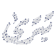 Tatra Insight icon