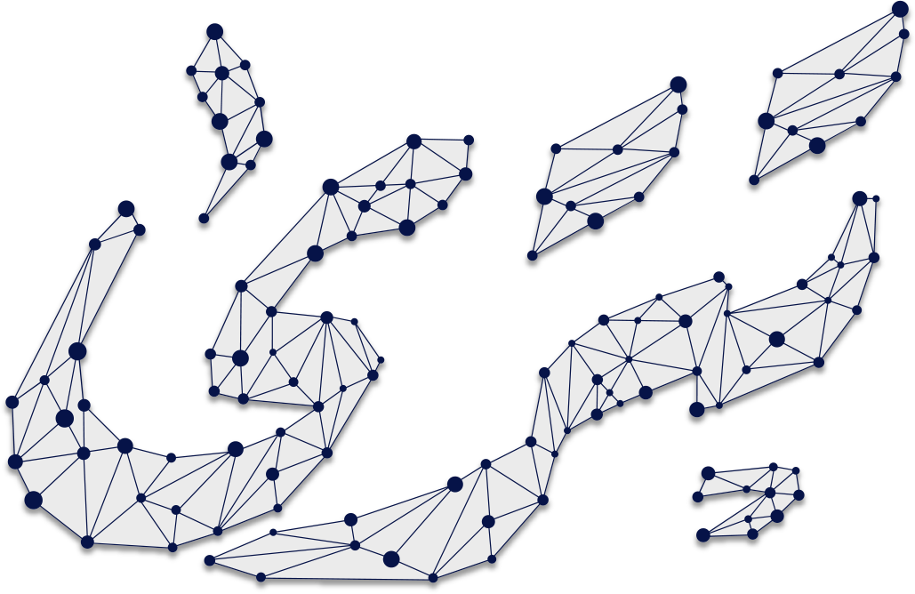 Tatra Insight network mark
